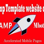 Seo Amp Template website design